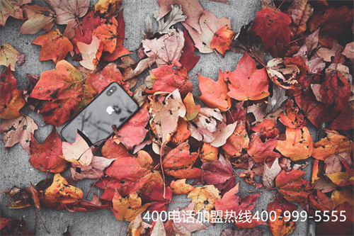 (打400官方電話能不能找到代理商)(有400電話的肯定是官方網站)