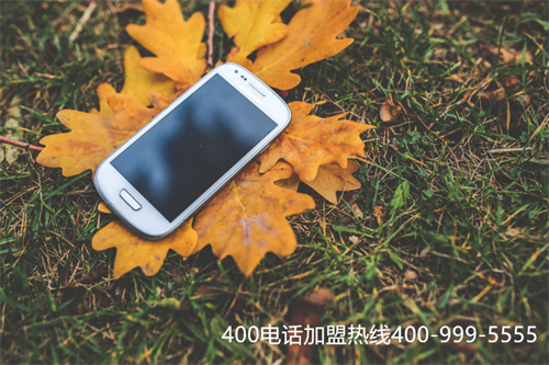 (400電話選號網)(400電話包含的業務功能主要有哪些?)