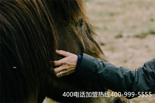長春怎么申請400電話(長春39元代駕電話號碼)